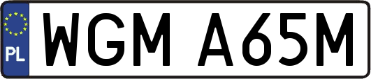 WGMA65M