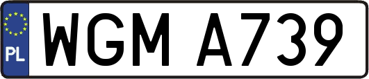 WGMA739