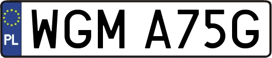 WGMA75G