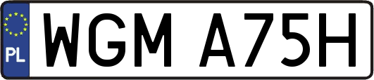 WGMA75H