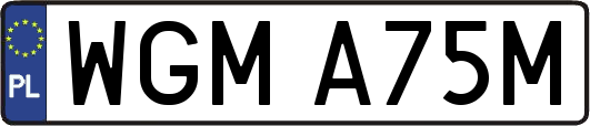 WGMA75M