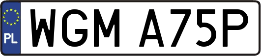WGMA75P