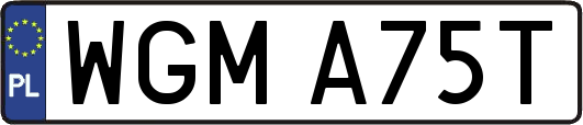 WGMA75T