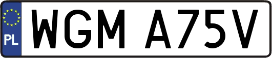 WGMA75V