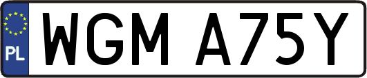 WGMA75Y