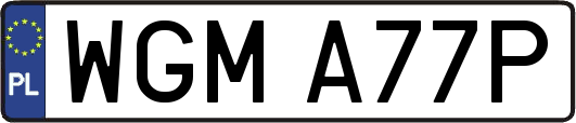 WGMA77P