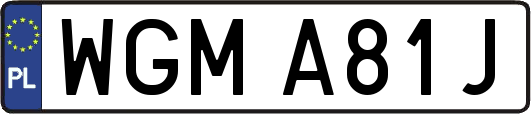WGMA81J