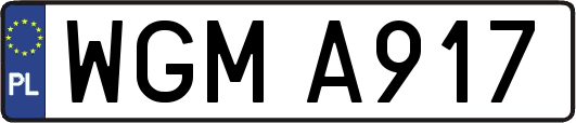 WGMA917