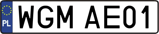 WGMAE01