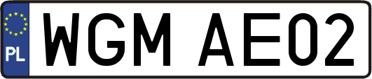 WGMAE02