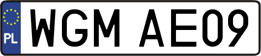 WGMAE09