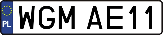 WGMAE11