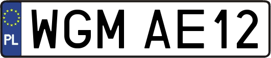 WGMAE12