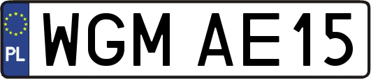 WGMAE15
