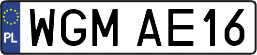 WGMAE16