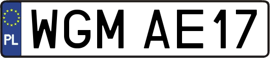 WGMAE17