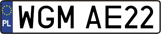 WGMAE22