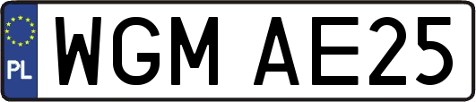 WGMAE25