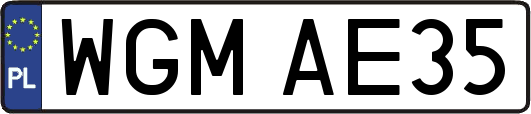 WGMAE35