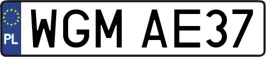 WGMAE37
