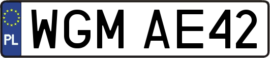 WGMAE42