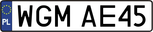 WGMAE45