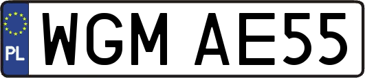 WGMAE55