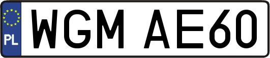 WGMAE60
