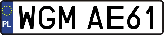 WGMAE61