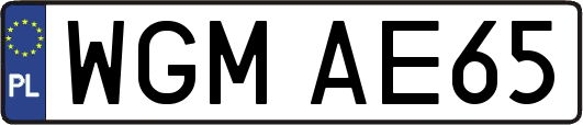 WGMAE65