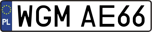 WGMAE66