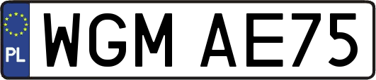 WGMAE75