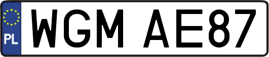 WGMAE87