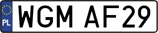 WGMAF29