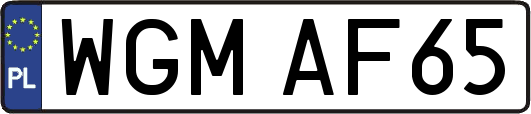 WGMAF65