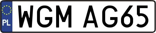 WGMAG65