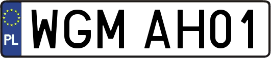 WGMAH01