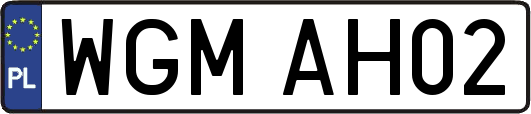 WGMAH02