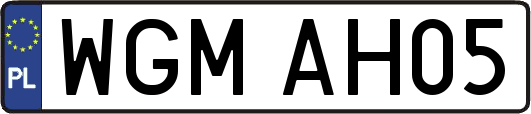 WGMAH05