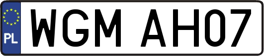 WGMAH07
