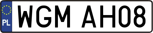 WGMAH08