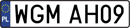 WGMAH09