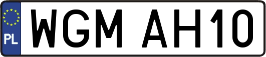 WGMAH10
