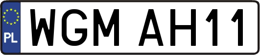WGMAH11