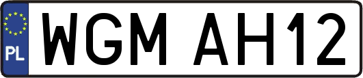 WGMAH12