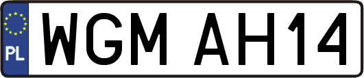 WGMAH14