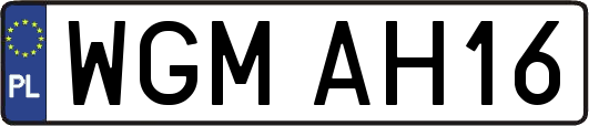 WGMAH16