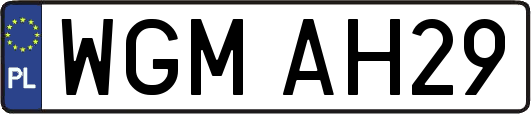 WGMAH29