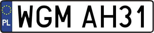 WGMAH31