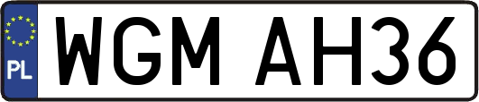 WGMAH36